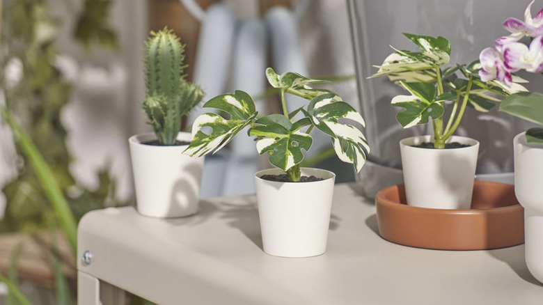 IKEA artificial plant in white pot on shelf with other faux plants