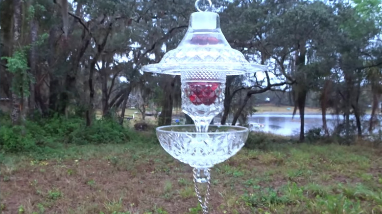 A bird feeder made with a butter dish