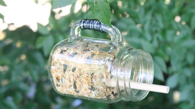 A bird feeder made with a Mason jar and wire