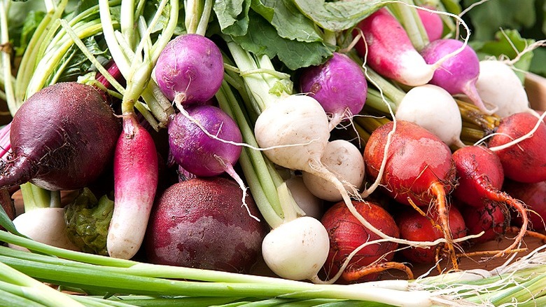 Beets, radishes, daikons and turnips are heaped in a basket with their edible tops