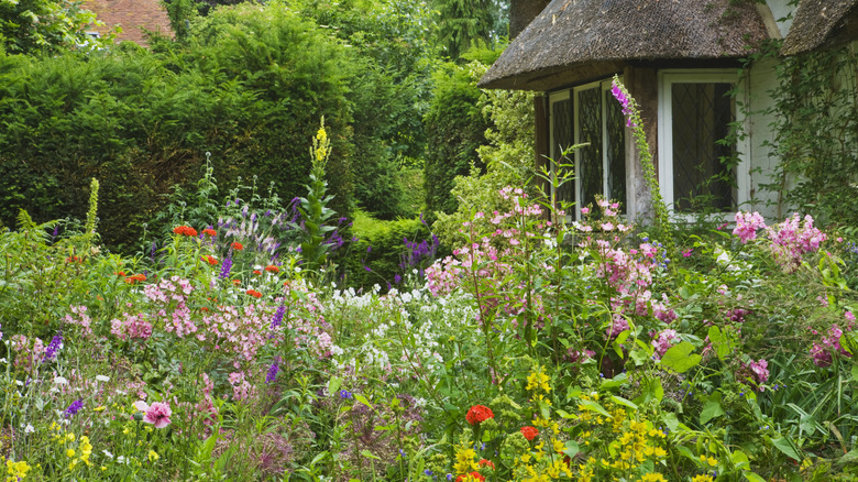 Colorful flowers blooming a home's backyard
