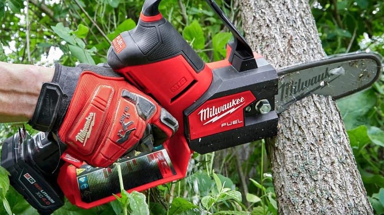 Person using pruning saw to remove tree branch