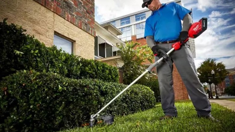 Man using string trimmer near shrubs