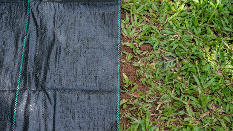 edge of a black fabric barrier next to growing weeds