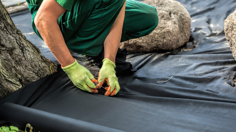 landscaping fabric around tree