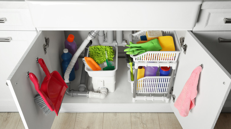 Cleaning products neat under the sink