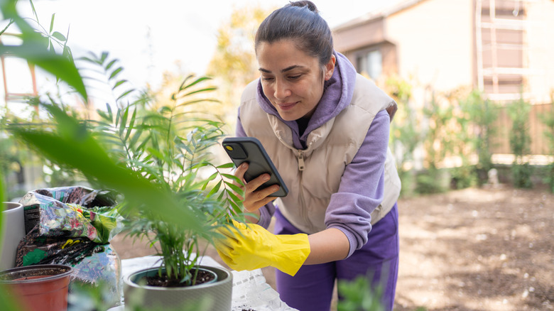 Woman using a smart phone to take a photo of a plant