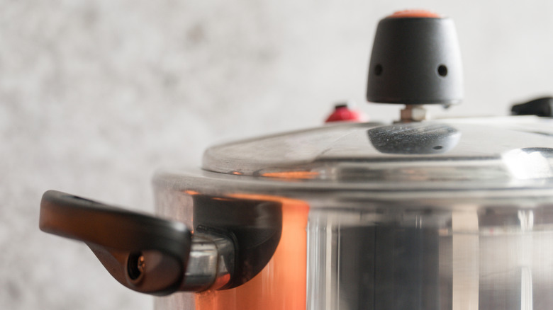 A stainless steel stovetop pressure cooker up close.
