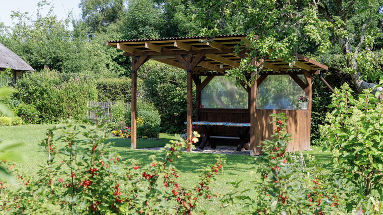 A tranquil garden with a basic wooden pergola