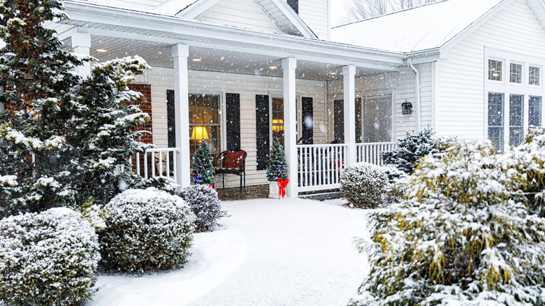 House in the winter with trees and shrubs covered in snow