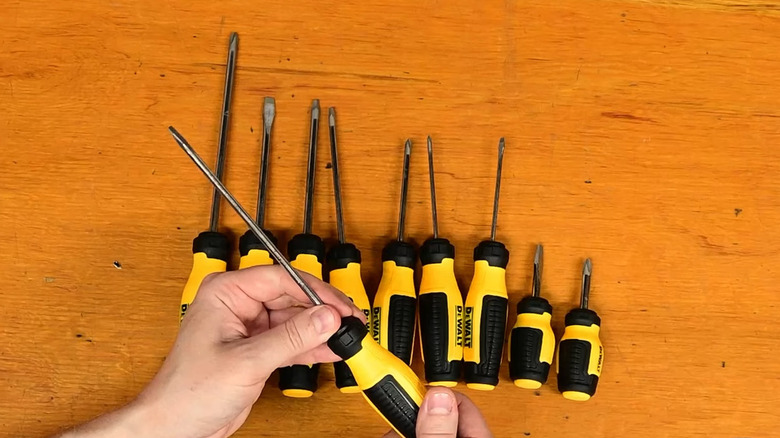 Man comparing DeWalt 10-piece Phillips screwdriver set on wood surface
