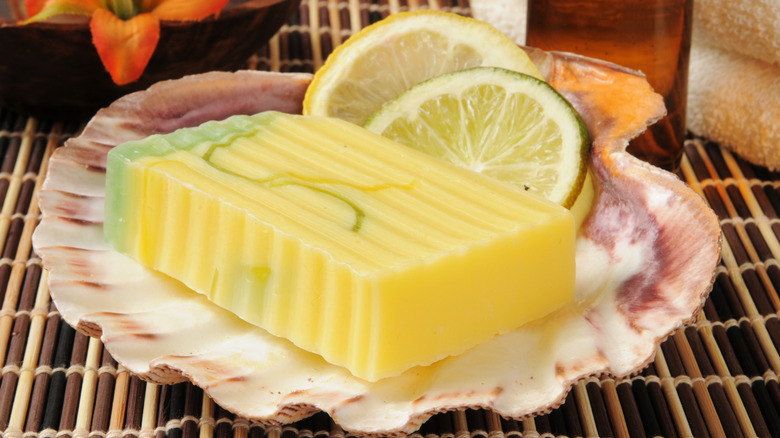 A bar of soap inside a repurposed seashell