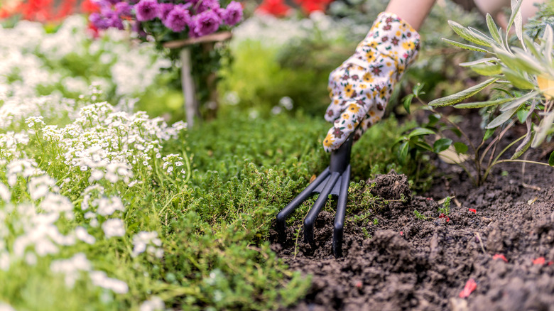 gardener digging in soil