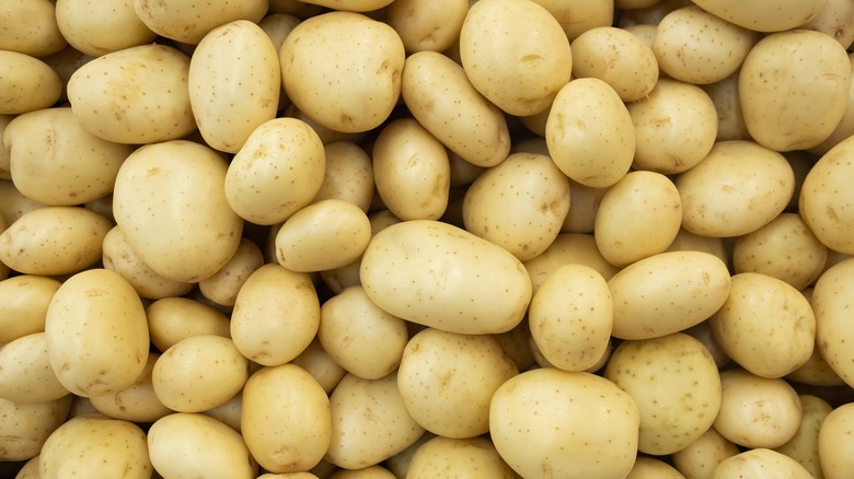 Many white potatoes in pile