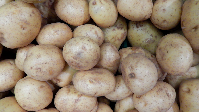 Many fresh maris piper potatoes
