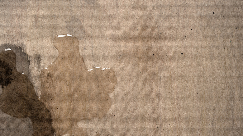 Close-up of wet cardboard.