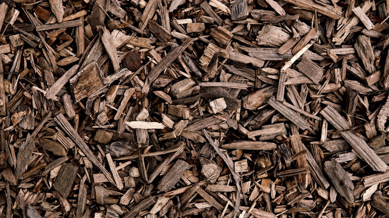 Pile of fresh mulch.