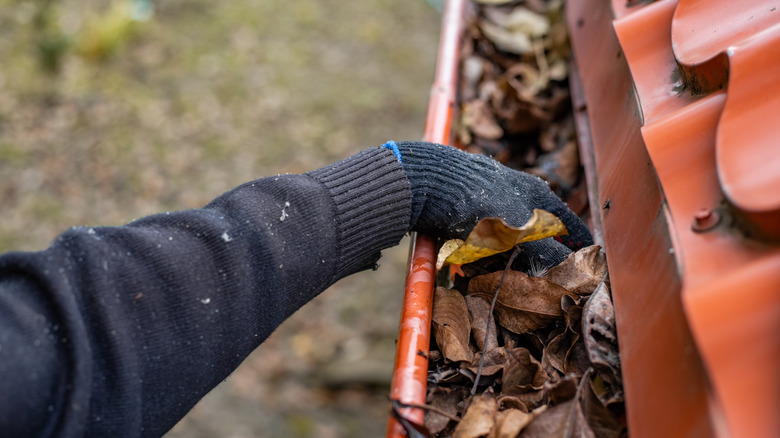 Arm wearing a long sleeve sweater and gloves reaching into a gutter to remove leaves.