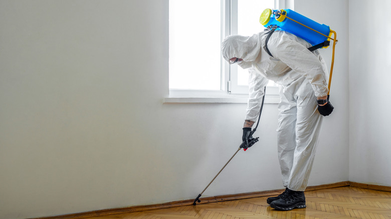 Exterminator spraying for termites inside a home.