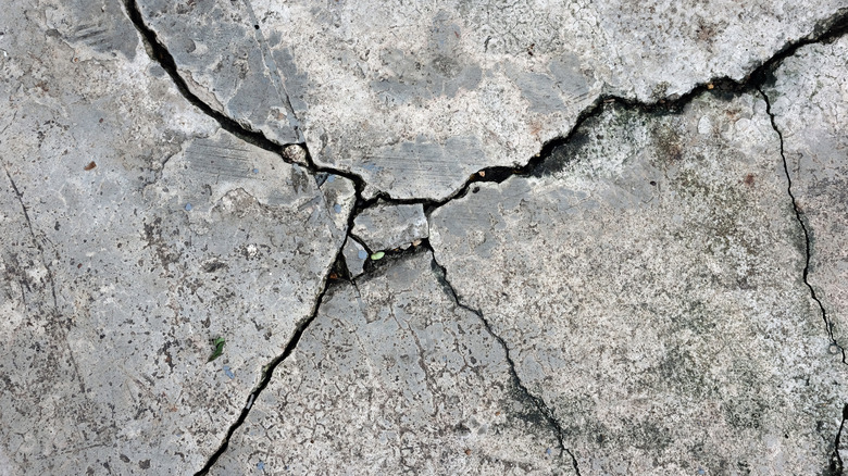 Close-up of cracks in concrete.