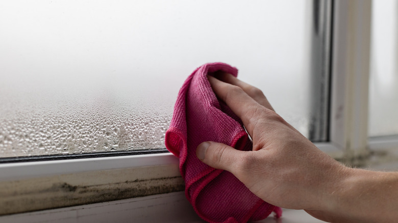 Person using a pink cloth to wipe condensation off a window