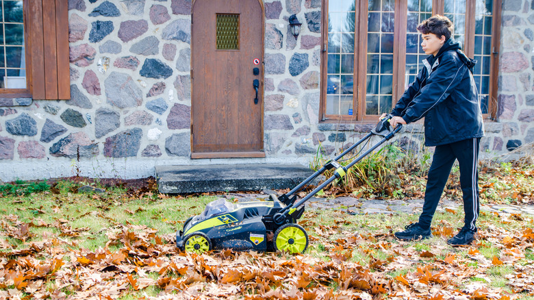 boy mowing fallen leaves