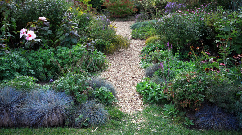 a path made of wood chips in the garden