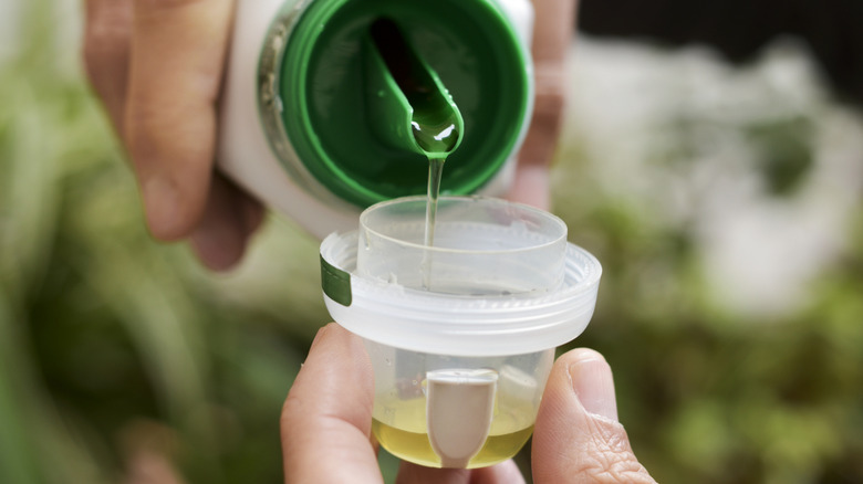 Detail of a person pouring liquid fertilizer into a measuring cup