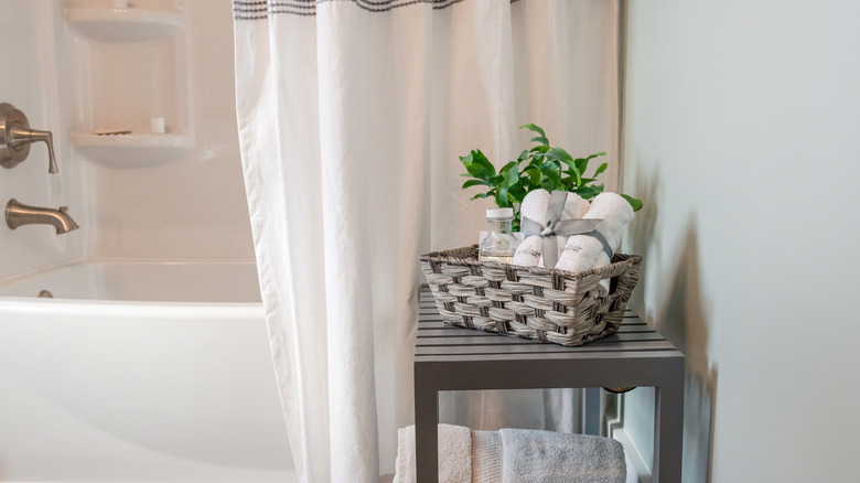 shower curtain