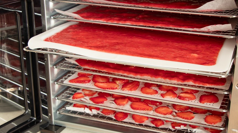 Strawberry puree and slices being dehydrated in a food dehydrator