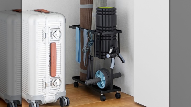 Pottery Barn Teen Sport Equipment Storage Cart