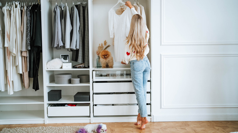 Woman hanging clothes up in closet with two cute pups
