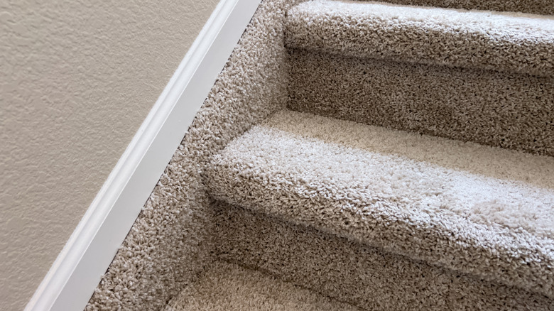 Close-up of a section of residential stairs with plush beige carpet