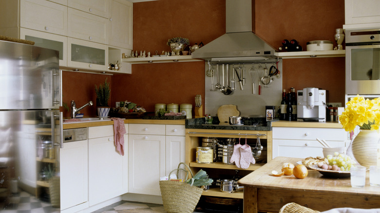 Kitchen with terracotta walls and stainless steel appliances