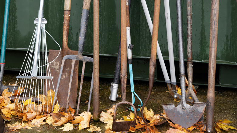 Old and rusty garden tools sitting outside