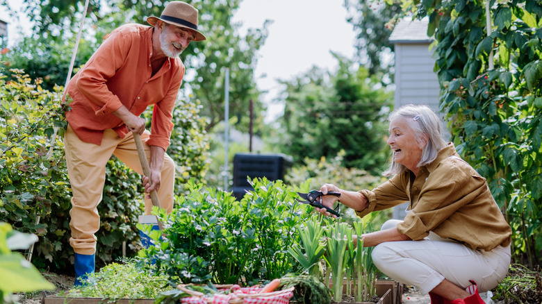 Man and woman happily working in the fall garden