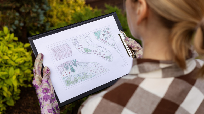 drawing a map of the garden