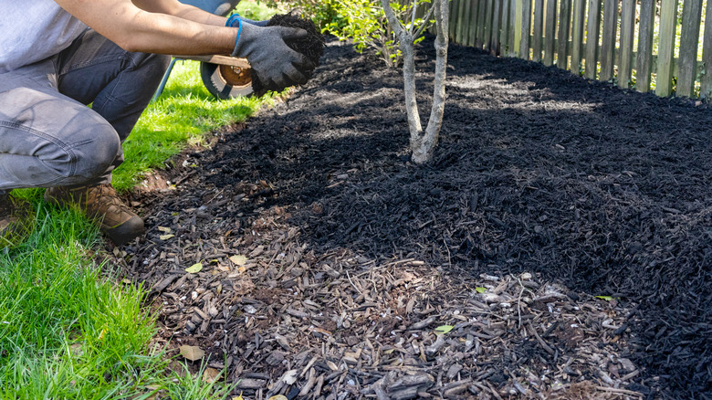man putting handfuls of mulch into a prepared garden