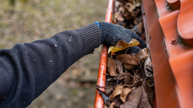 Gloved hand cleaning leaves out of a gutter