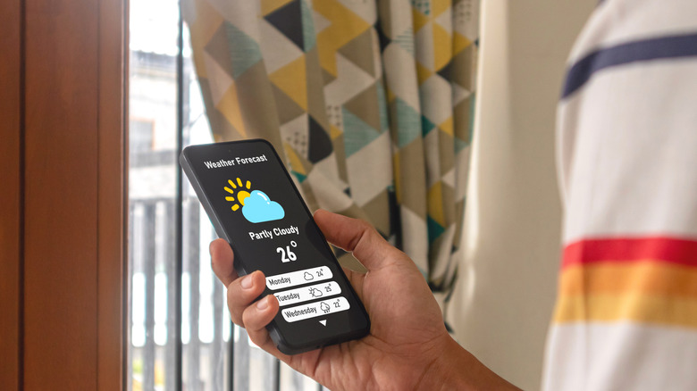 A person holding a phone is looking at a weather forecast