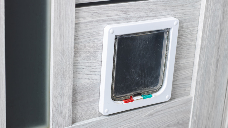 Pet door on the side of a house