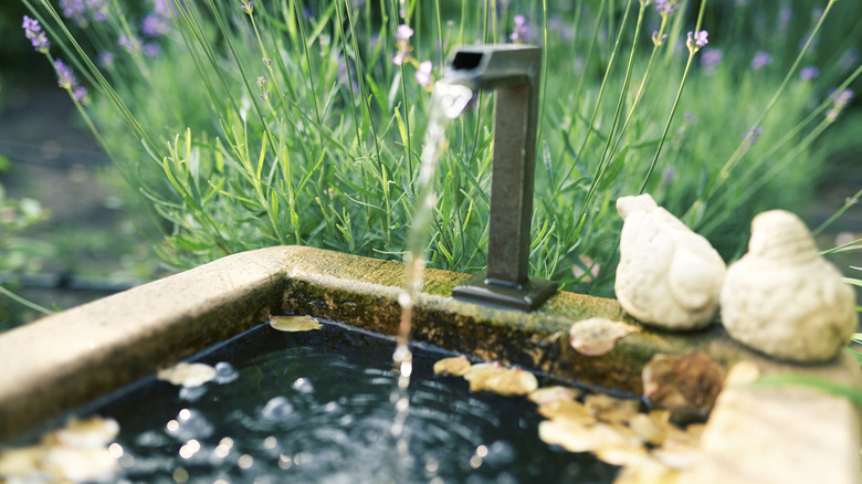 Water feature in a yard