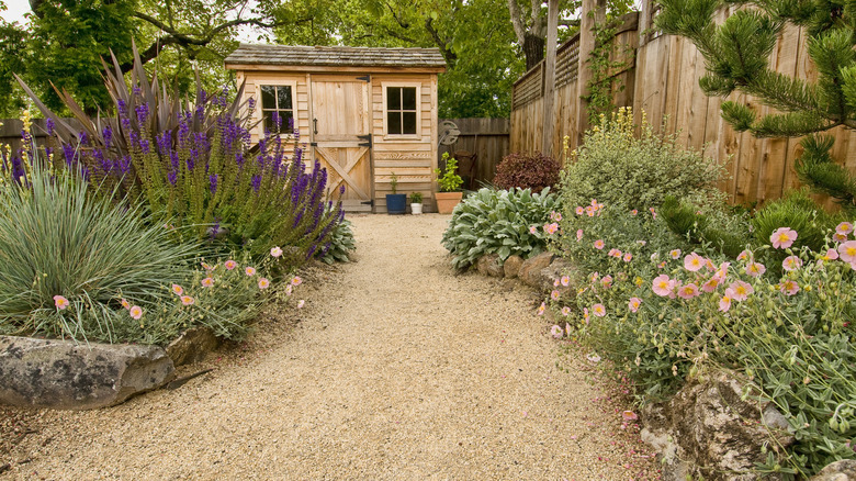 Gravel pathway in a garden