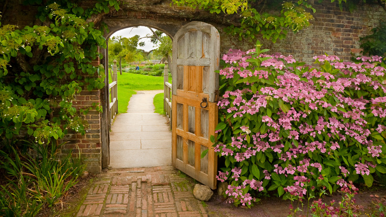 An old wooden door open and leading onto a pathway and into a garden
