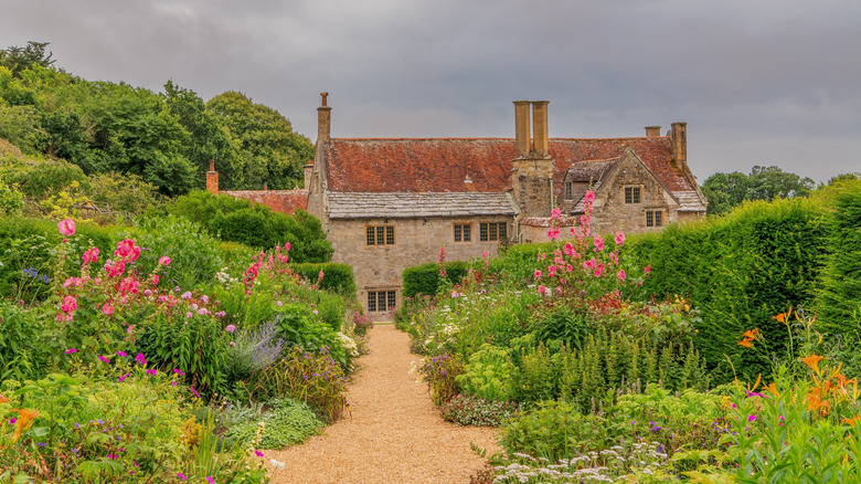 Wildflowers growing in a old-world garden