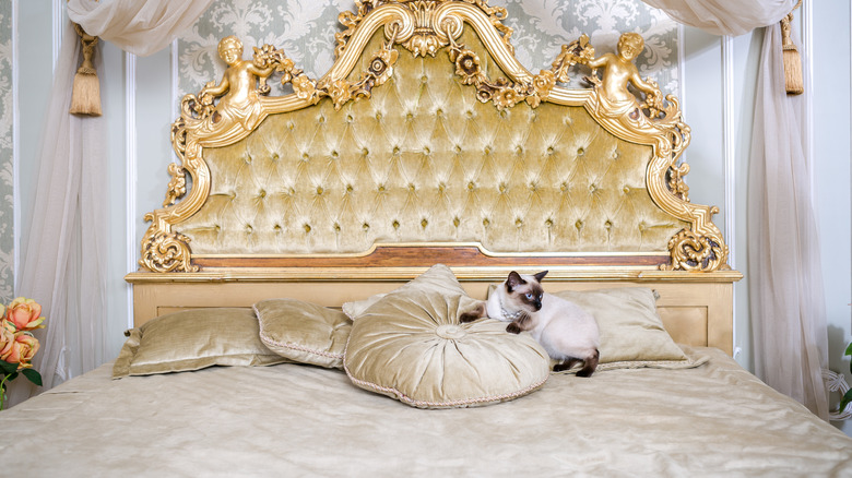 Versailles interior with cat