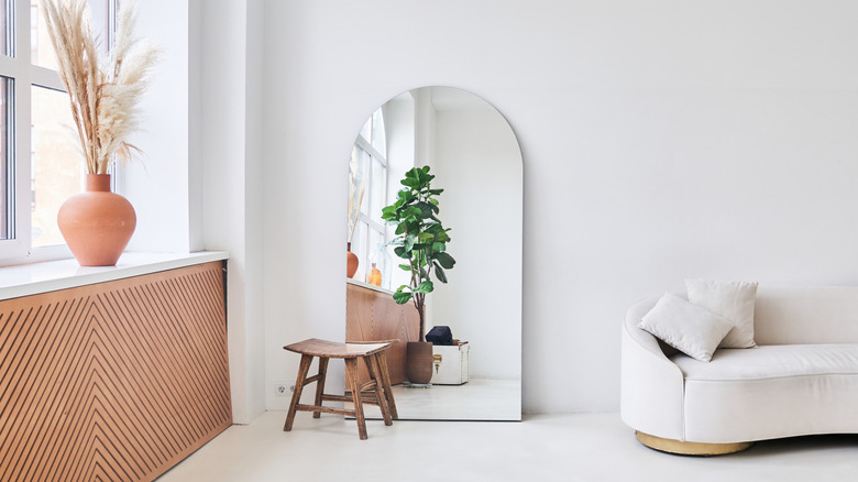 Living room window reflecting plant and window
