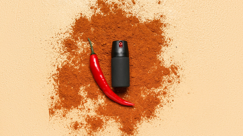Chili pepper, chili powder, and a spray bottle laying on a pale orange surface