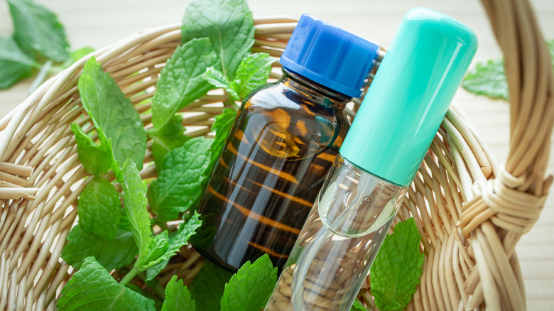 A basket containing peppermint essential oil and mint leaves