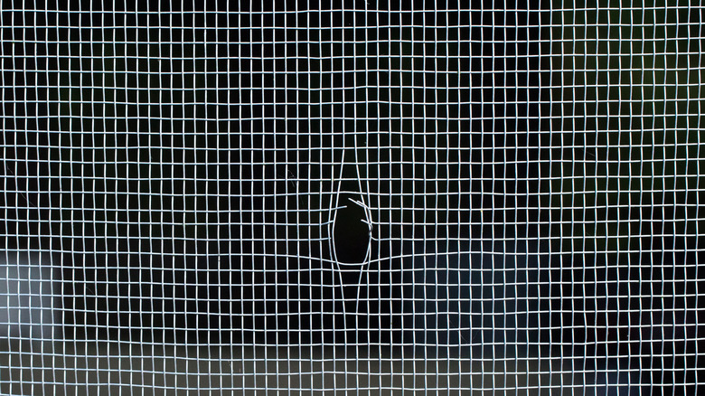 Window screen with a hole in it